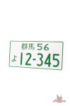 Японский номер 12-345 зеленый 2